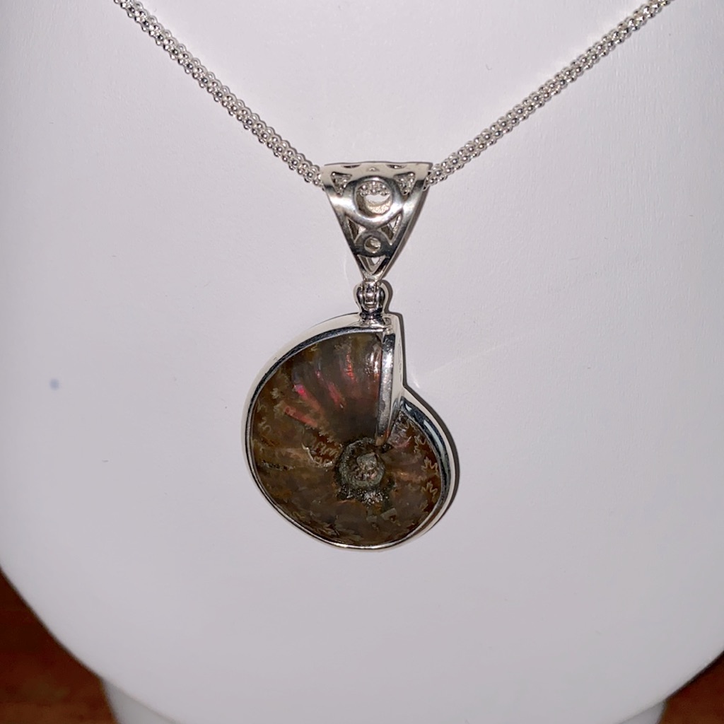 Jay King Red Ammonite Pendant & Ss Chain Necklace